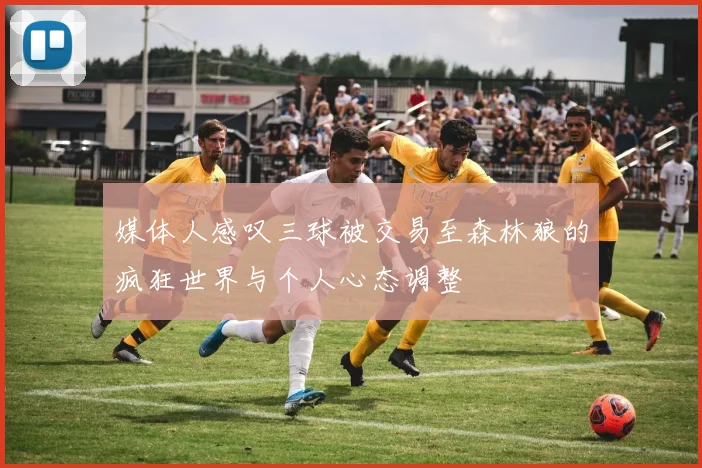媒体人感叹三球被交易至森林狼的疯狂世界与个人心态调整
