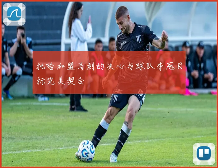 托哈加盟马刺的决心与球队夺冠目标完美契合
