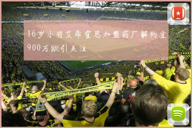 16岁小将艾希霍恩加盟药厂解约金900万欧引关注