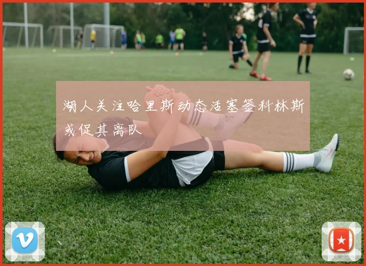 湖人关注哈里斯动态活塞签科林斯或促其离队